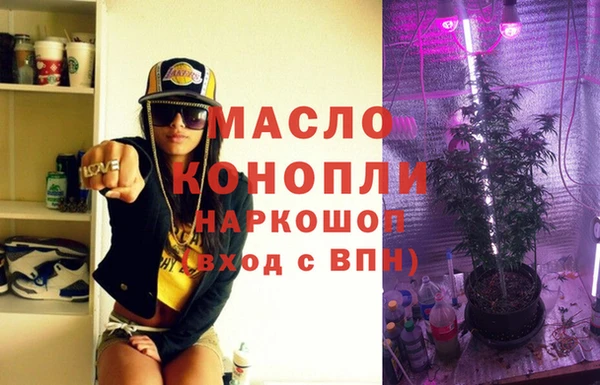 сатива Коряжма
