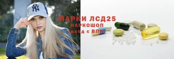 амф Краснослободск