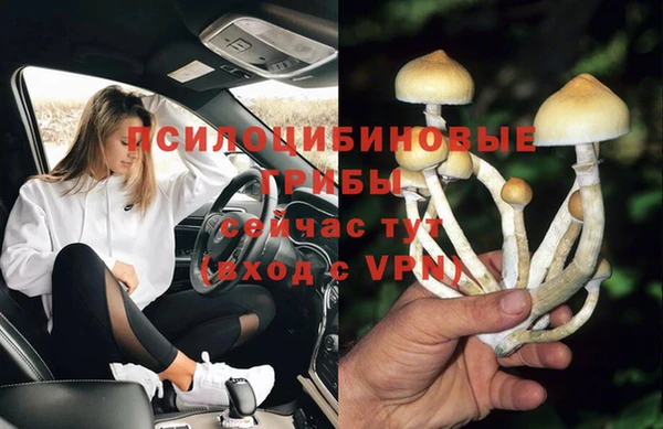 кокс Лабытнанги