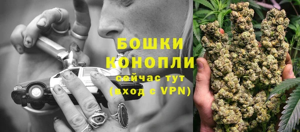твердый Ладушкин