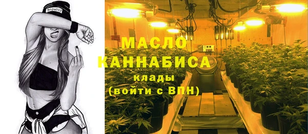 амф Краснослободск