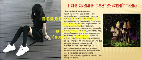 амф Краснослободск