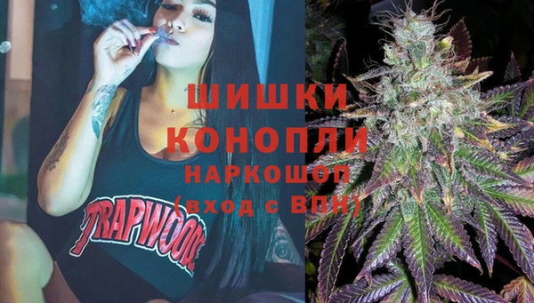 амф Краснослободск