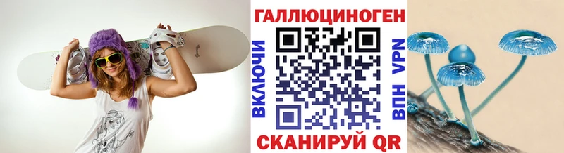 Галлюциногенные грибы Cubensis  дарнет шоп  Мещовск 